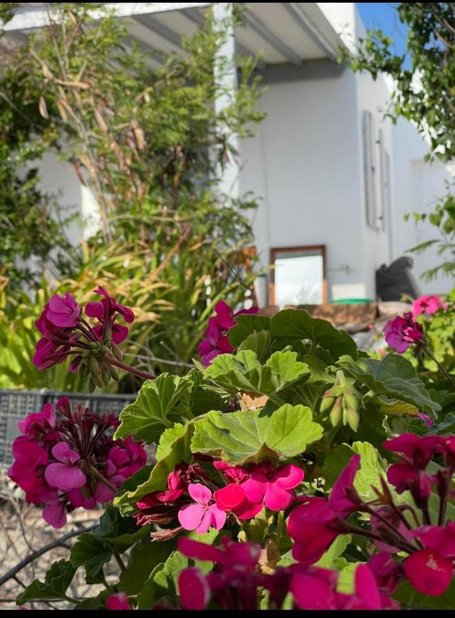 Alesta Apartment Mykonos Town Exterior photo